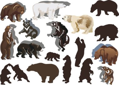 set of eighteen bears clipart