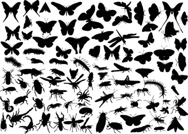 different insects huge set clipart