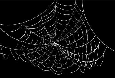 white spider web on black clipart