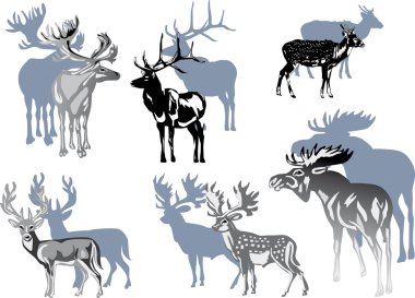 six grey deers on white clipart