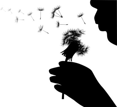 human blowing on dandelion illustration