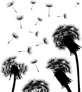 dandelion field silhouette clipart