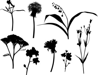 set of isolated wild flowers silhouettes clipart