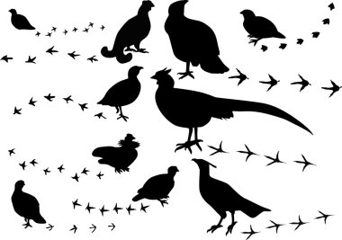 ten black birds and its tracks clipart