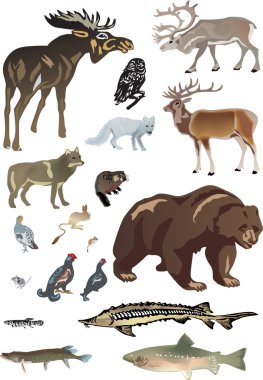 set of polar animals clipart