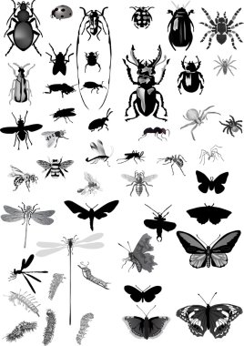 set of isolated gray insects clipart