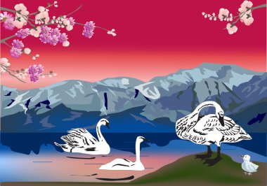 swan family at red sunset clipart