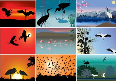 nine composition with long legs birds clipart