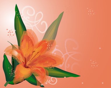 lily flower on orange background clipart