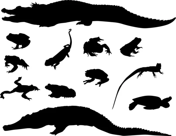 Set of isolated reptile and amphibian silhouettes — Stock Vector
