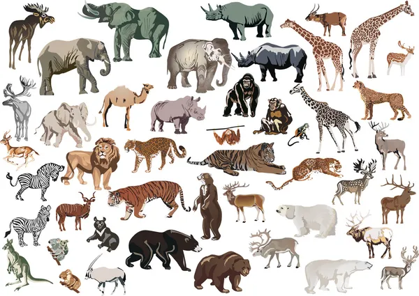 Isolerad färg djur enorm samling — Stock vektor