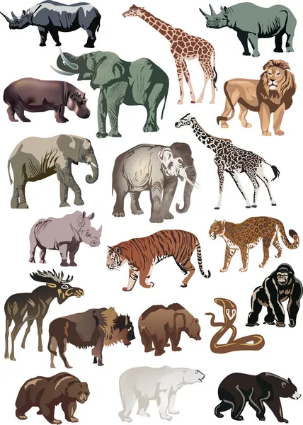 Color animals large collection — Stock Vector