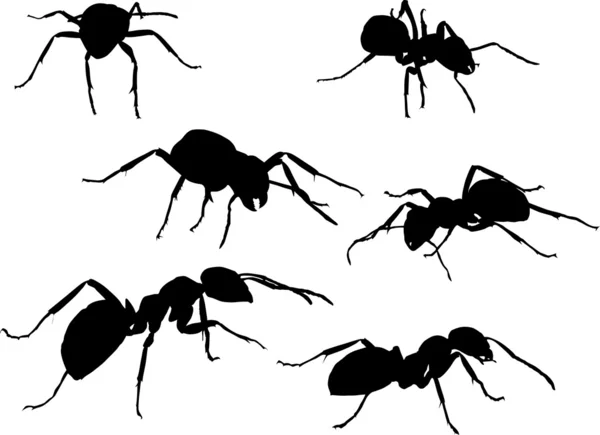 Six ants set — Stock Vector