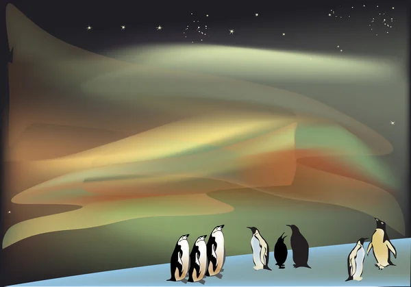 Pinguïns onder aurora illustratie — Stockvector