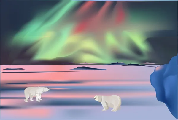 Ursos polares sob aurora —  Vetores de Stock