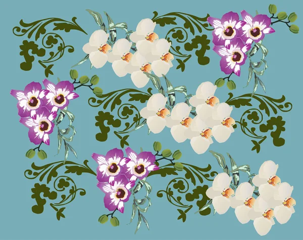 Diseño de flores de orquídea y rizos verdes — Vector de stock