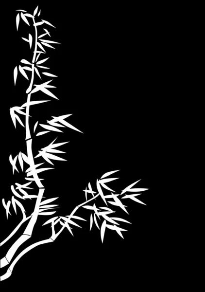 Bamboo white silhouette — Stock Vector