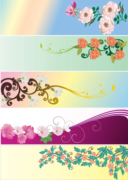 Set of five floral strips — Stock Vector