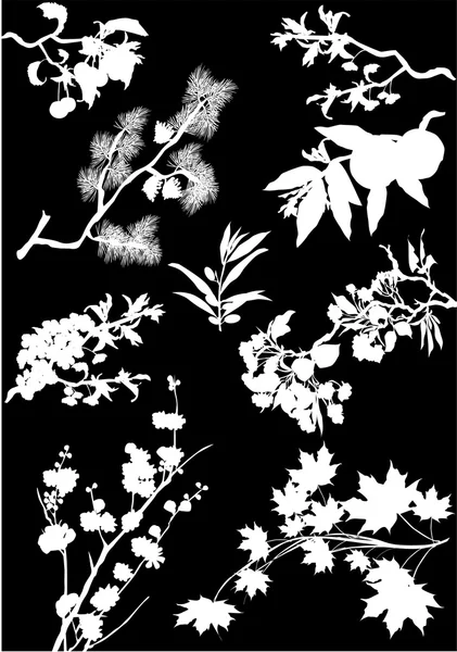Ensemble de branches d'arbres sur fond noir — Image vectorielle