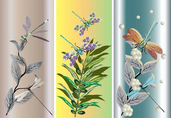 Drie stroken met libellen en bloemen — Stockvector