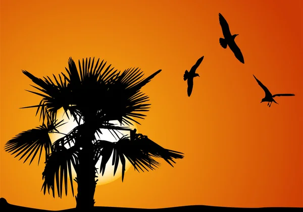 Palm tree and gulls at sunset — Stock Vector