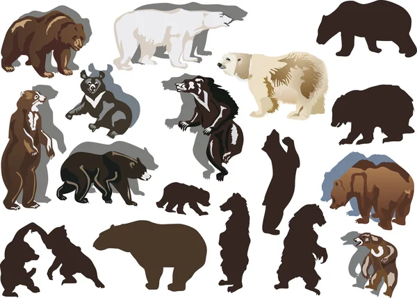 Set of eighteen bears — Stock Vector