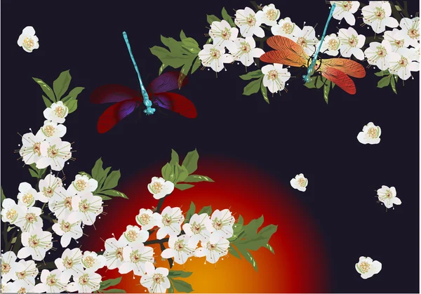 白い花と暗い背景にトンボ — ストックベクタ