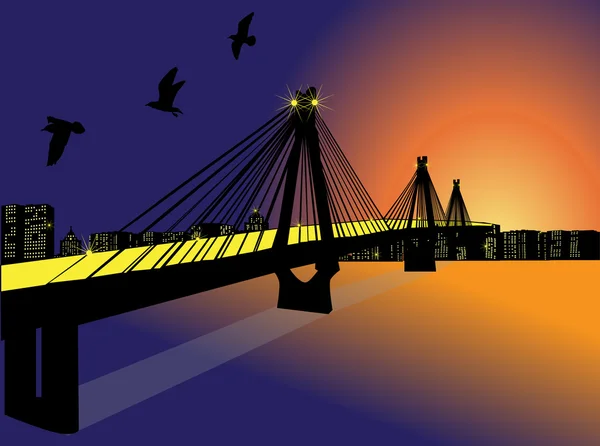 Large bridge to night city illustration — Stock Vector