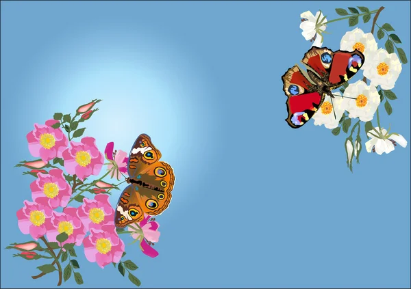 Δύο πεταλούδες και λουλούδια brier — Διανυσματικό Αρχείο