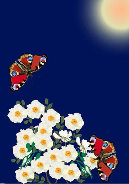 Червоні метелики і білосніжні квіти — стоковий вектор