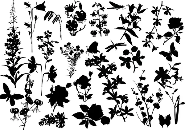 Grand ensemble de silhouettes de fleurs — Image vectorielle