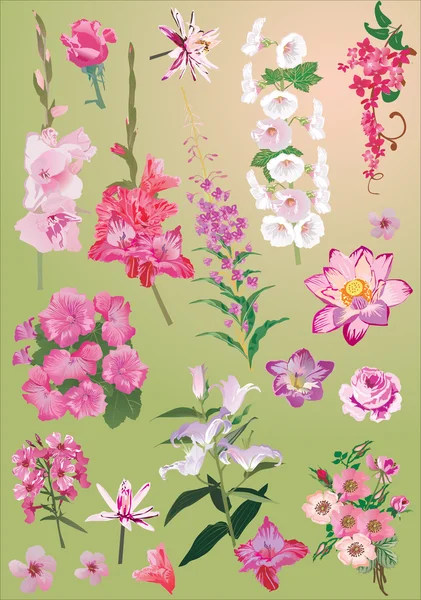 Rosa conjunto de flores sobre fondo verde — Vector de stock
