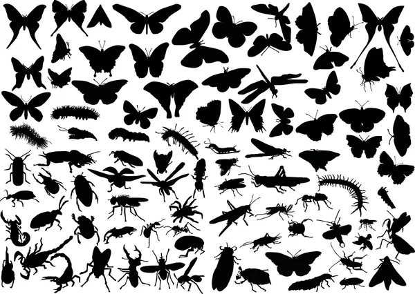 Olika insekter enorm samling — Stock vektor