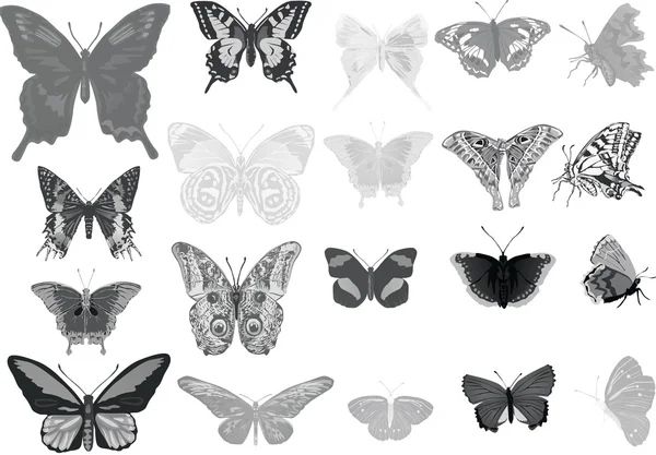 Conjunto de veinte mariposas grises — Vector de stock