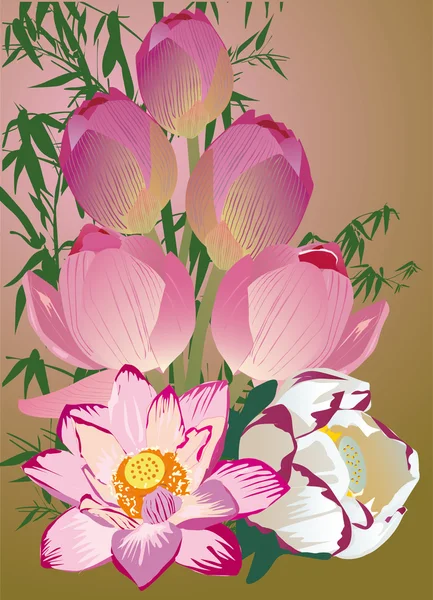 Design with pink lotus bouquet — Stock Vector