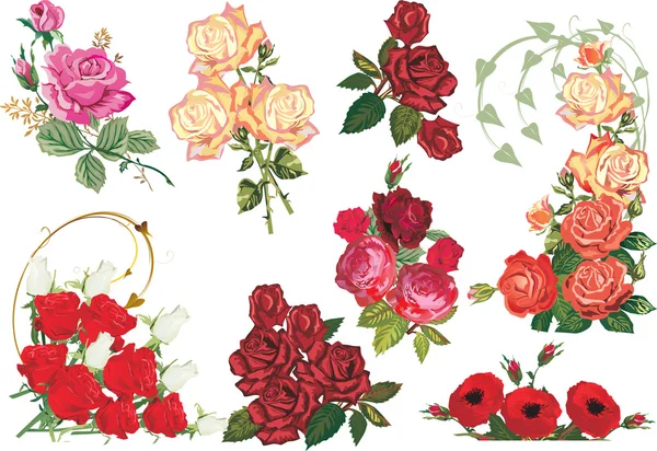 Ramo aislado de colección de rosas — Archivo Imágenes Vectoriales
