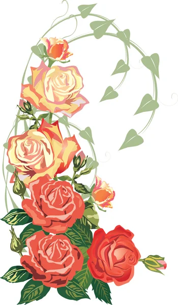 Öt piros rózsák, fehér ábrán — Stock Vector