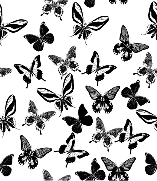 Φόντο με μαύρο τροπικές πεταλούδες — Διανυσματικό Αρχείο