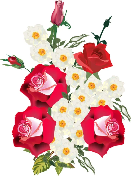 Illustrazione bouquet di rose rosse e bianche — Vettoriale Stock