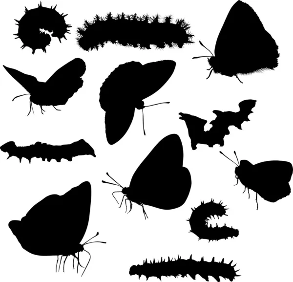Caterpillar and butterflies silhouettes collection — Stock Vector