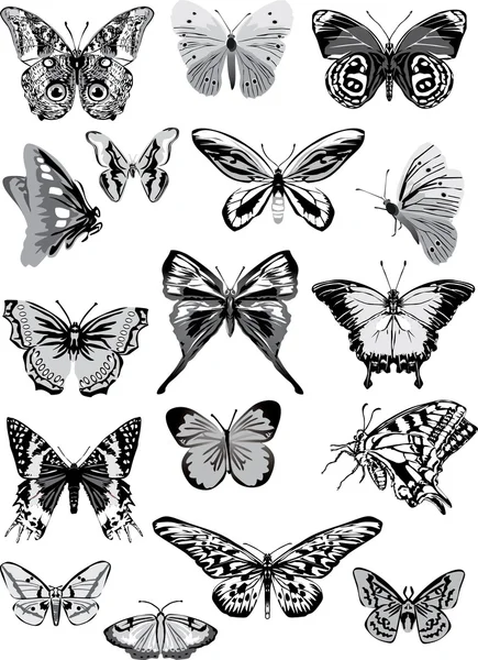 Set di farfalle grigie — Vettoriale Stock