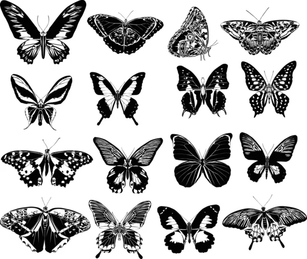 Δεκαέξι μαύρο πεταλούδες — Διανυσματικό Αρχείο