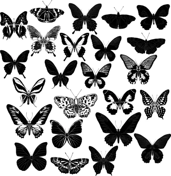 Huszonnégy fekete pillangók — Stock Vector