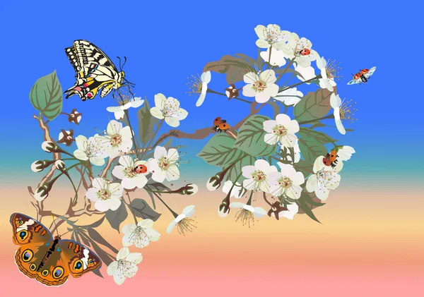 Farfalle e coccinelle sui fiori di sakura — Vettoriale Stock