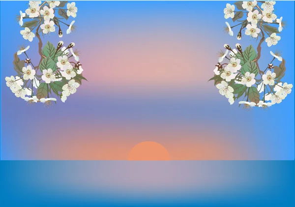 Kiraz ağacı çiçek deniz günbatımı — Stok Vektör