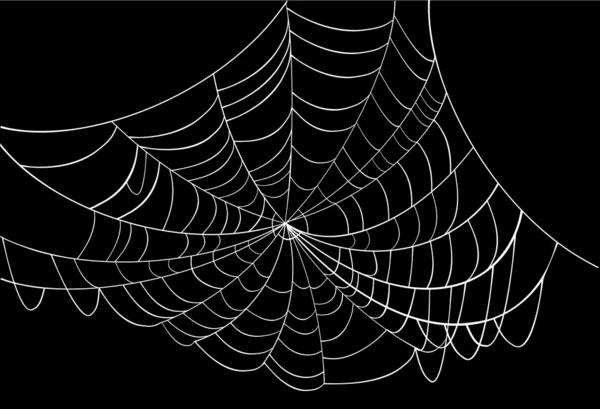 Tela de araña blanca sobre negro — Vector de stock