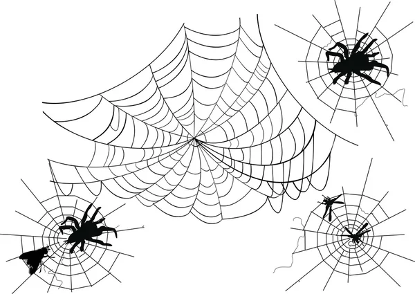 Vier spinnenwebben — Stockvector