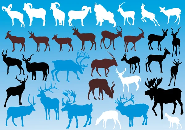 Silhouettes d'animaux à cornes de couleur — Image vectorielle