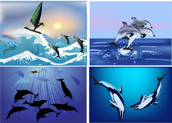 Set of compositions with dolphins — Stock Vector