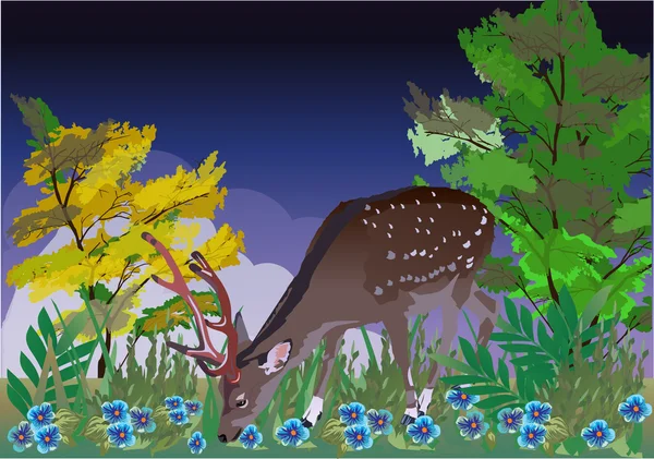 Mladý jelen mezi modré květy — Stockový vektor